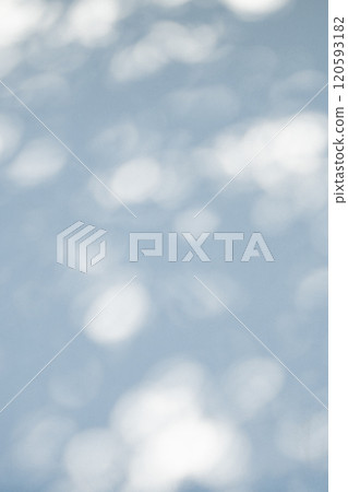 Sunlight filtering through the trees illuminating the white wall d-1-3 Cool colors, light Sunlight filtering through the trees illuminating the white wall d-1-3 Cool colors, light 120593182