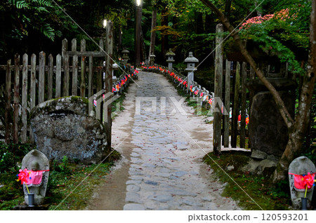 金剛林寺參道 金剛林寺參道 120593201