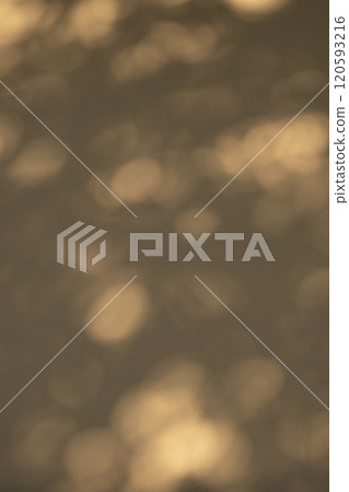 Sunlight filtering through the trees illuminating the white wall d-3-1 Warm, dark colors Sunlight filtering through the trees illuminating the white wall d-3-1 Warm, dark colors 120593216