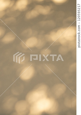 Sunlight filtering through the trees illuminating the white walls d-3-2 Warm colors 120593217