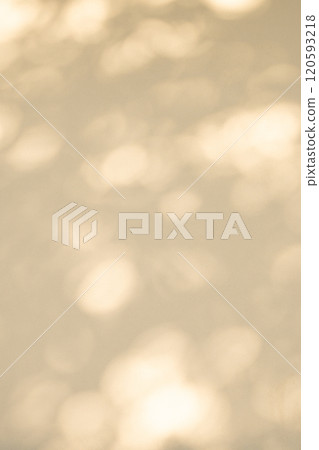 Sunlight filtering through the trees illuminating the white wall d-3-3 Warm, bright colors Sunlight filtering through the trees illuminating the white wall d-3-3 Warm, bright colors 120593218