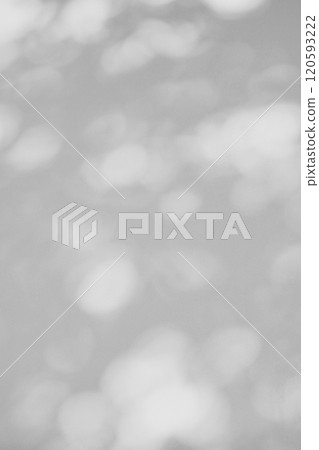 Sunlight filtering through the trees illuminating the white wall d-4-3 Monochrome Bright 120593222