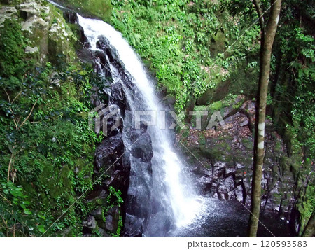 Red-eye Shiratakiraki Fudo Falls 120593583