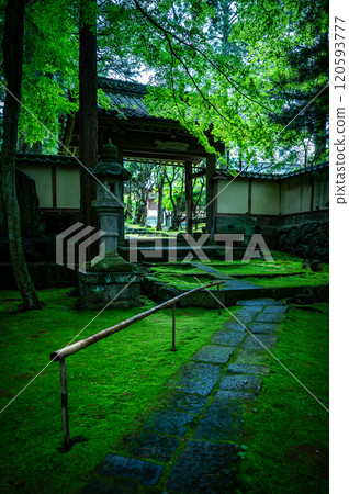 Teijoji Temple surrounded by greenery, Saku City, Nagano Prefecture Teijoji Temple surrounded by greenery, Saku City, Nagano Prefecture 120593777