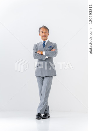 Businessman portrait full body 120593811