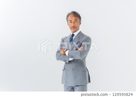 時尚的商人肖像 120593824