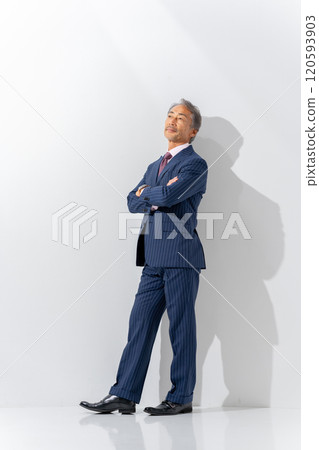商務高級男子肖像垂直 120593903