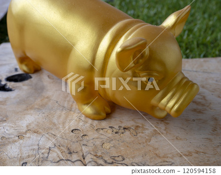 金豬 金豬 120594158