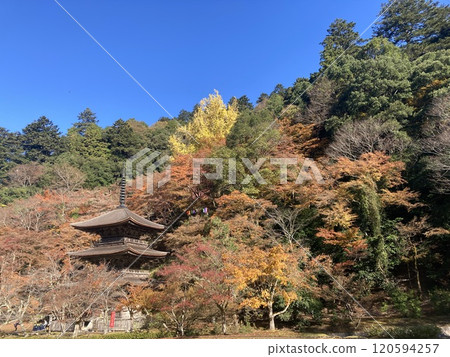 A temple surrounded by autumn leaves 120594257