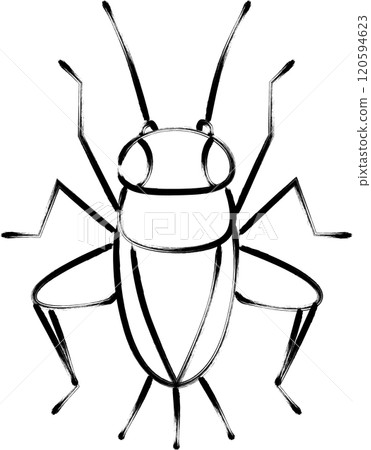 Brush-drawn insect icon: cricket Brush-drawn insect icon: cricket 120594623