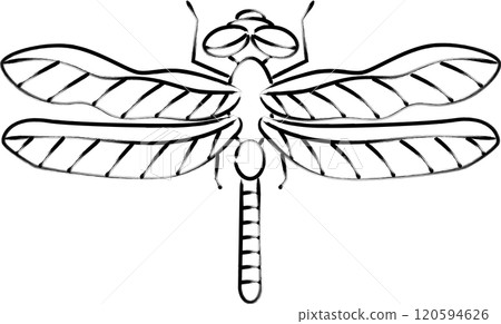 Brush-drawn insect icon: Dragonfly 120594626