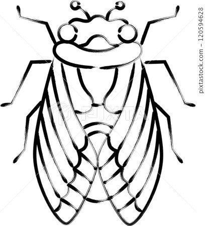 Brush-drawn insect icon: Cicada 120594628