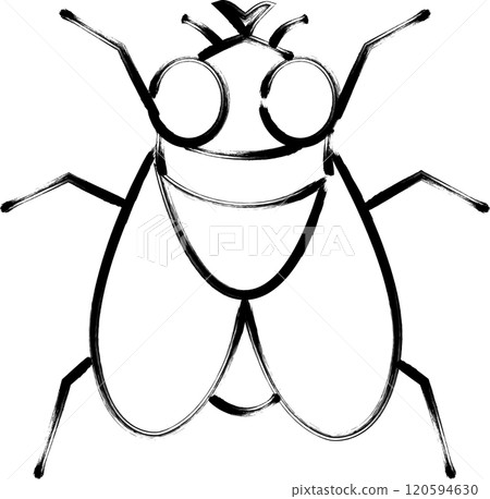 Brush-drawn insect single icon: fly 120594630