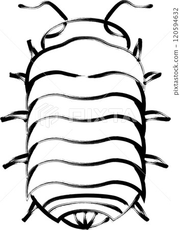 Brush-drawn insect icon: pillbug 120594632