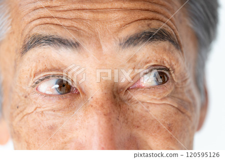 高級男性的眼睛 120595126