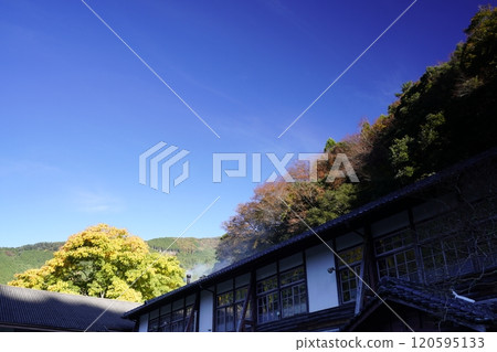 秋葉環繞的鄉村景觀、木製校舍和大銀杏樹 120595133