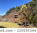 Kongo-in Temple in Autumn, Maizuru City, Kyoto Prefecture 120595344