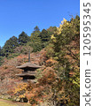 Kongoji Temple in Autumn, Maizuru City, Kyoto Prefecture 120595345