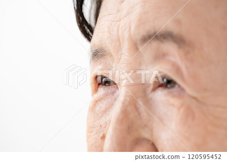 女性眼睛高級 120595452