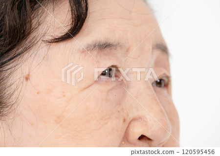 女性眼睛高級 120595456