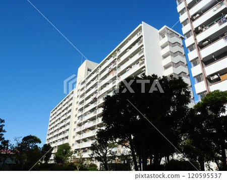 Cityscape with blue sky and housing complex | Takashimadaira housing complex 120595537