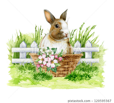 Hand drawn illustration of a cute bunny in a woven basket on fresh spring grass with a white fence backdrop, in vintage style. Ideal for Easter themes, holiday cards, seasonal festive decor 120595567