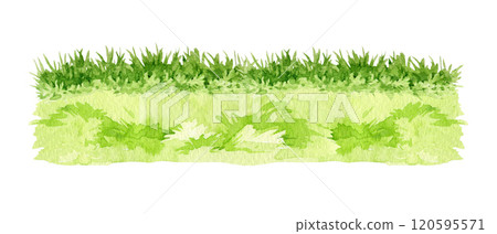 Green grass background watercolor illustration. Lush grass close up countryside landscape, meadow, field, lawn element. Fresh herbs and natural plants floral illustration isolated on white background Green grass background watercolor illustration. Lush grass close up countryside landscape, meadow, field, lawn element. Fresh herbs and natural plants floral illustration isolated on white background 120595571