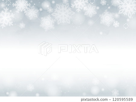 Fantastic gray snowflake background 120595589