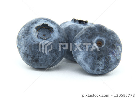 Three Fresh Blueberries Isolated on a White Background Three Fresh Blueberries Isolated on a White Background 120595778