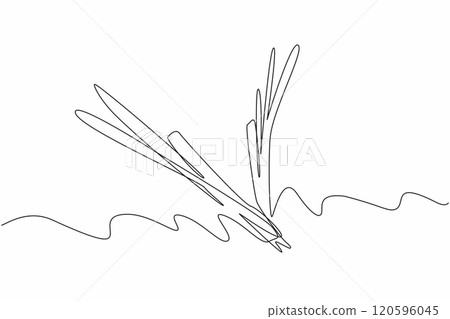One line drawing of organic leek, leaf of union, forming V letter to celebrate Veganuary month in January. A campaign to call people become vegan. One line drawing of organic leek, leaf of union, forming V letter to celebrate Veganuary month in January. A campaign to call people become vegan. 120596045