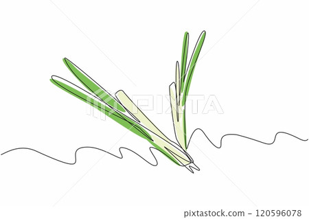 One line drawing of organic leek, leaf of union, forming V letter to celebrate Veganuary month in January. A campaign to call people become vegan. 120596078