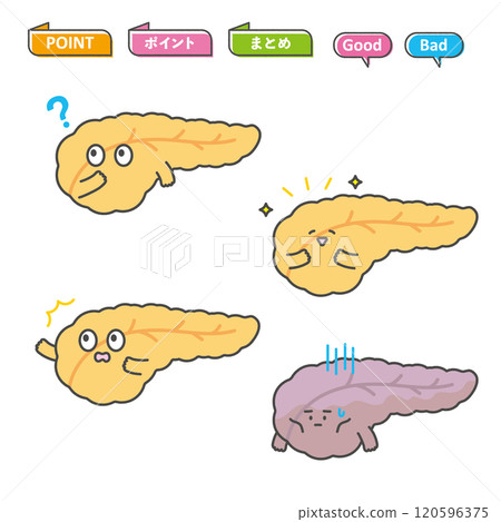 胰臟字符圖 120596375