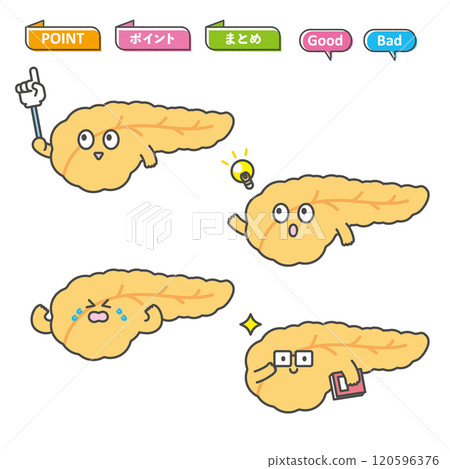 Pancreas character illustration 120596376
