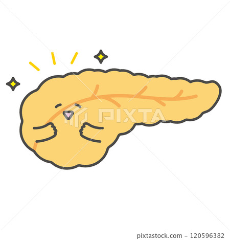 快樂的胰臟的人物插圖 120596382
