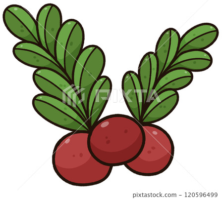 Cute cartoon decoration Christmas clip art PNG, Christmas illustration Cute cartoon decoration Christmas clip art PNG, Christmas illustration 120596499
