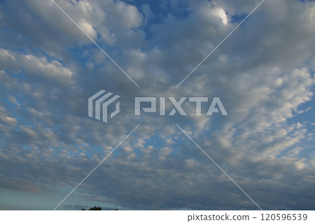 Beautiful sheep clouds floating in the blue sky at dusk 120596539