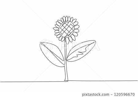 Single one line drawing a stalk of sunflower. Growing strong, fresh and giving joy from its color. The leaves are useful as a wound healer. Kansas Day. Continuous line design graphic illustration 120596670