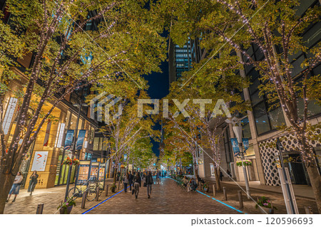 Marunouchi Illumination 2024-2025 120596693