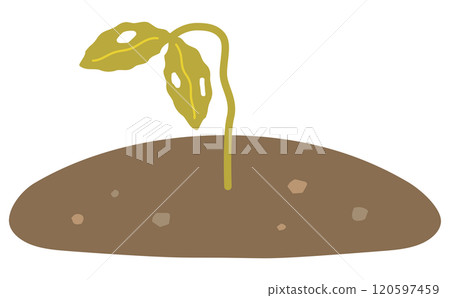 Wilted diseased plant with insect bites 120597459