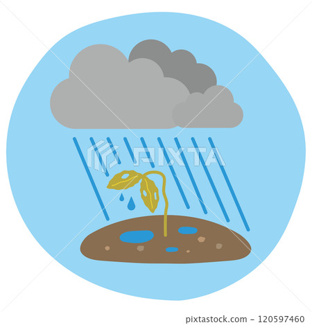 Crops damaged by heavy rain 120597460