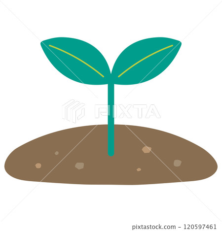 A healthy growing two-leaf plant A healthy growing two-leaf plant 120597461
