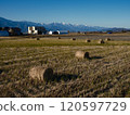 [Azumino City, Nagano Prefecture] Rice straw rolls and the snow-capped Tateyama mountain range 120597729