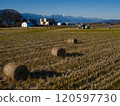 [Azumino City, Nagano Prefecture] Rice straw rolls and the snow-capped Tateyama mountain range 120597730