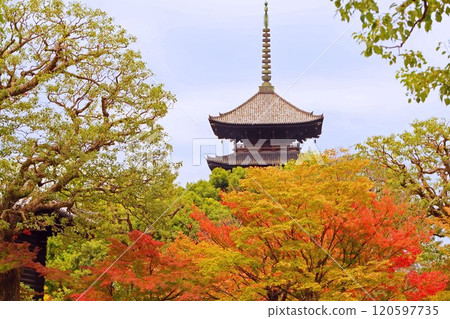 東寺五層塔及秋葉2 120597735