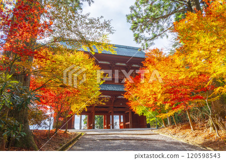 秋天的高野山,秋天的大門和楓葉 秋天的高野山,秋天的大門和楓葉 120598543