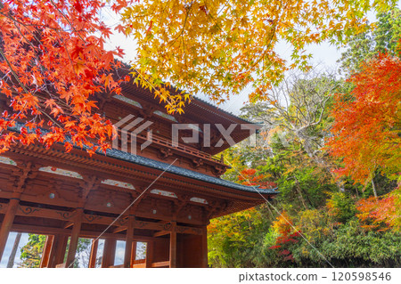 Autumn at Mount Koya: Daimon Gate and red maple leaves Autumn at Mount Koya: Daimon Gate and red maple leaves 120598546