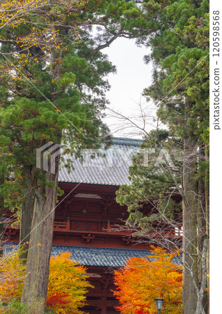 秋天的高野山，秋天的大門和楓葉 120598568
