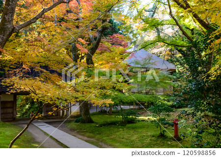 Autumn morning: View of the old covered hall from the approach to Daichojuin Temple, Chusonji Temple 120598856