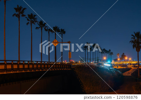 國道220號線（宮崎南繞道）附近的夜景 120598876