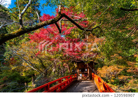 京都牧尾山西明寺的參道 120598907